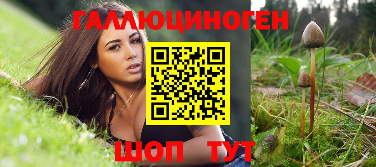 Галлюциногенные грибы прущие грибы  Галлюциногенные грибы мухоморы  Петрозаводск  Вход с VPN 