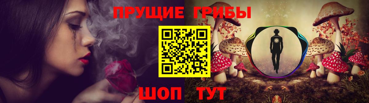 Галлюциногенные грибы Psilocybine cubensis Петрозаводск